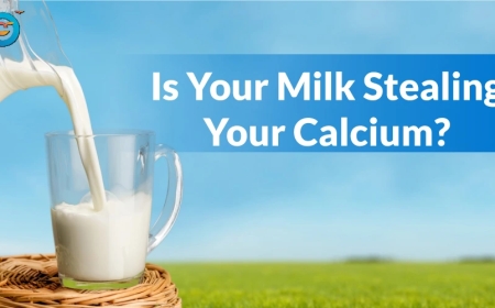 Milk and Bone Health: What Science Really Says