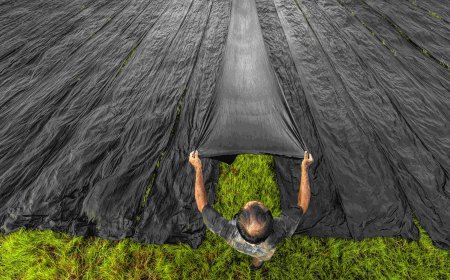 How to Install Weed Barrier for Durable Weed Control on Any Project Site