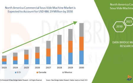 North America Commercial Sous Vide Machine Market Insights and Growth Trends