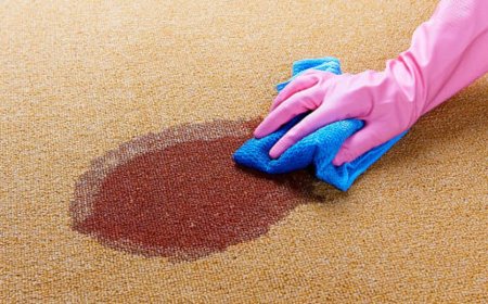 What Happens During a Professional Blood Cleanup?