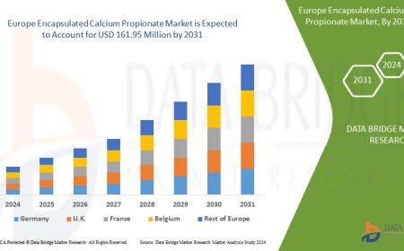 Europe Encapsulated Calcium Propionate Market Overview: Trends, Challenges, and Forecast 2024 –2031