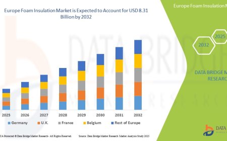 Europe Foam Insulation Market Overview: Trends, Challenges, and Forecast 2025 –2032