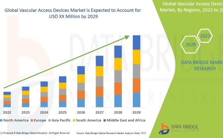 Vascular Access Devices Market Size, Current Status, and Outlook 2029
