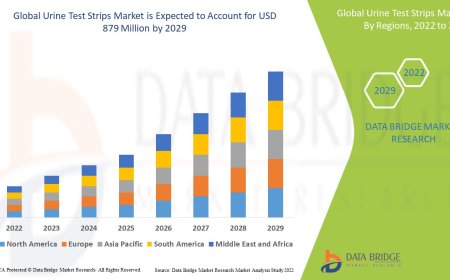Urine Test Strips Market Size, Current Status, and Outlook 2029