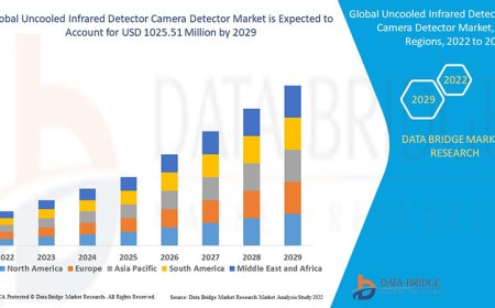 Uncooled Infrared Detector Camera Detector Market Size, Current Status, and Outlook 2029