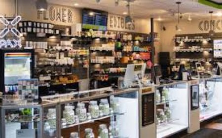 How to Find the Best Dispensary Near Me: Your Complete Guide to Quality and Convenience