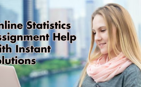 Online Statistics Assignment Help with Instant Solutions