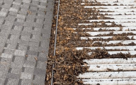 Best Roof Moss Removal in Medford OR – Safe, Affordable & Long-Lasting Results