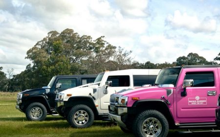 Comparing Pink Limo Hire Melbourne with Other Luxury Transport Options