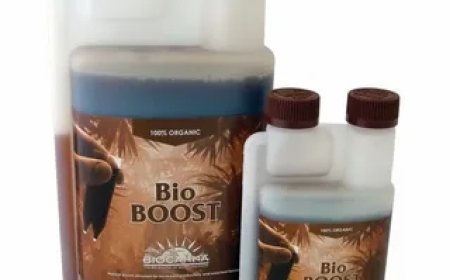 Bioboost Injections: Your Shortcut to Energy and Wellness