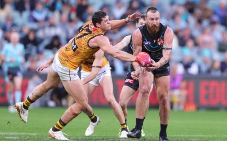 Why Best PlayUp is a Top Choice for Aussie Punters