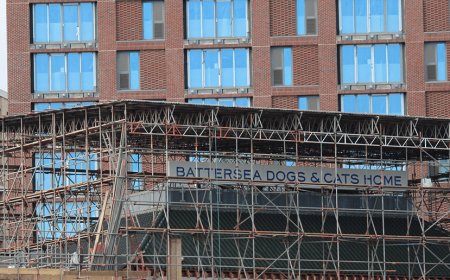 Scaffolding London Experts | Professional Scaffold Services by Mac Scaffolding