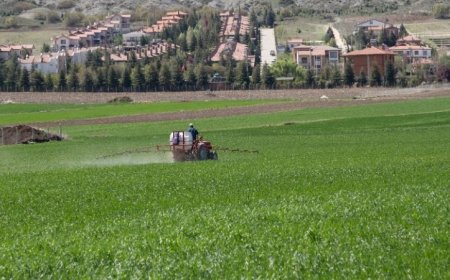 Agrochemicals: Powering Sustainable and Smart Agriculture