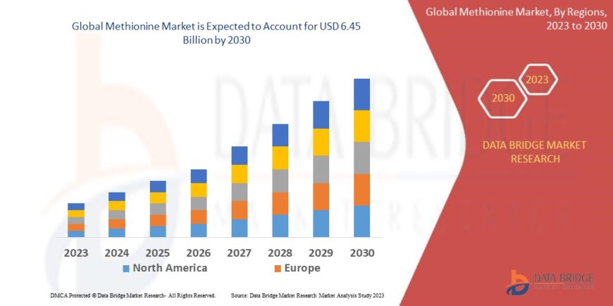 Methionine Market Size, Share, Demand, Rising Trends, Growth and Competitors Analysis