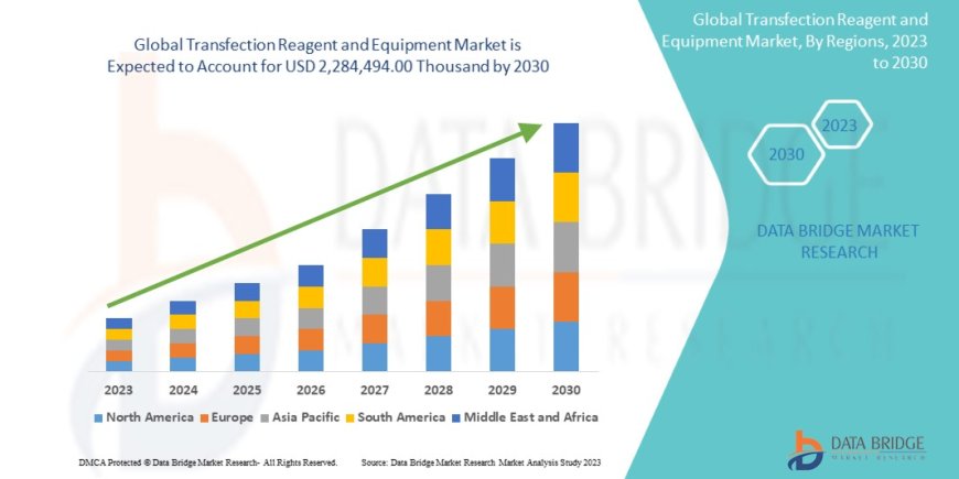 Transfection Reagent and Equipment Market Size, Share, Demand, Rising Trends, Growth and Competitors Analysis