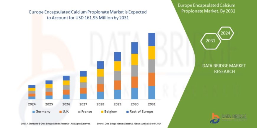 Europe Encapsulated Calcium Propionate Market Overview: Trends, Challenges, and Forecast 2024 –2031