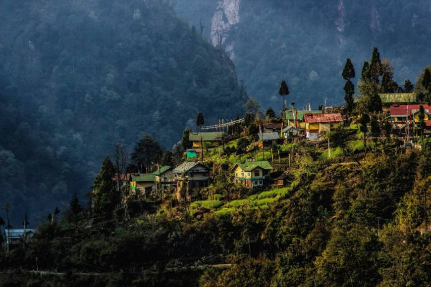 Sikkim and Darjeeling Tour: Where Peace Meets the Peaks