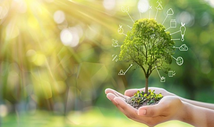 Definition of an Annuity: What You Need to Know