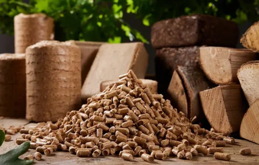 Biomass Wood Pellets: The Smart Heating Solution for Sustainable Living