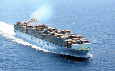 Introducing The Amazing Shipping Lawyers in China