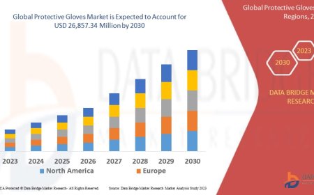 Protective Gloves Market in Middle East and Africa Grows with Rising Occupational Safety Awareness