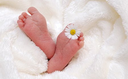 Top-Rated Surrogacy Agencies in the USA: Start Your Journey with OneWorld Generations