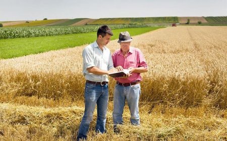 Powering Indian Agriculture – Why Shivalik Crop Pvt Ltd  Science is on Every Smart Farmer’s Radar