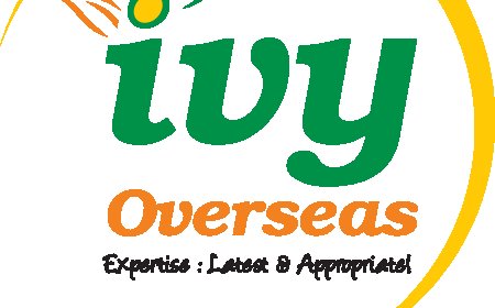 Abroad education consultants in Hyderabad