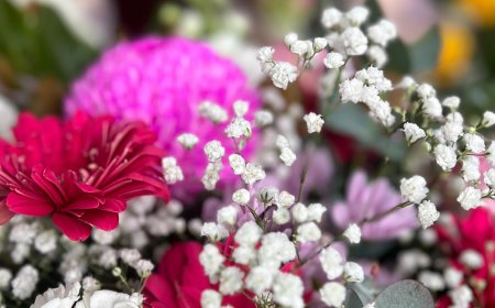 The Language of Flowers: What Your Bouquet Really Says