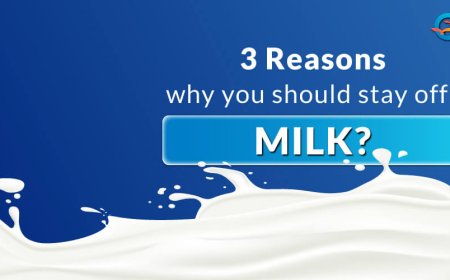 Milk, Curd & Cheese: Safe for Diabetics or Not?