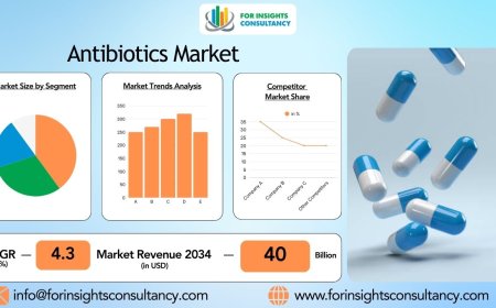 Exploring the Current Trends in the Antibiotics Market