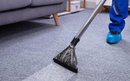 Carpet Cleaning Services That Are Safe for Pets