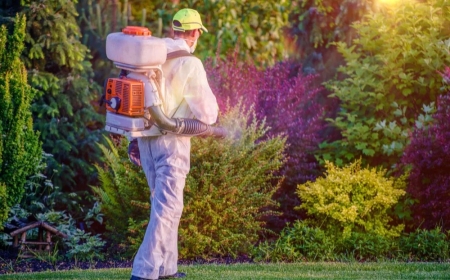 Reliable Pest Control Services for Homes and Businesses