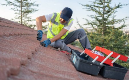 Why Hiring a Bellingham Roofer is the Smart Choice for Your Home