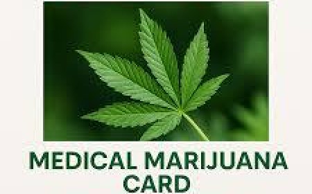 Top 5 Medical Marijuana Dispensaries to Know Today