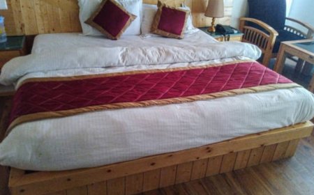 Nature, Nostalgia, and Bed & Breakfast Comfort