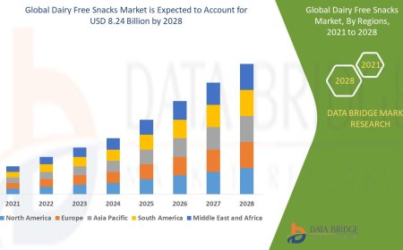Dairy Free Snacks Market Size, Status and Industry Outlook During 2028