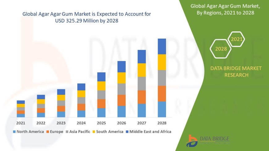 Agar Agar Gum Market Grows with Increasing Use in Food, Pharmaceuticals, and Biotechnology