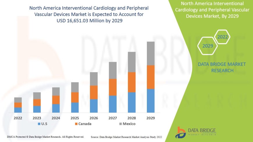North America Interventional Cardiology and Peripheral Vascular Devices Market Accelerates with Innovations in Minimally Invasive Treatments