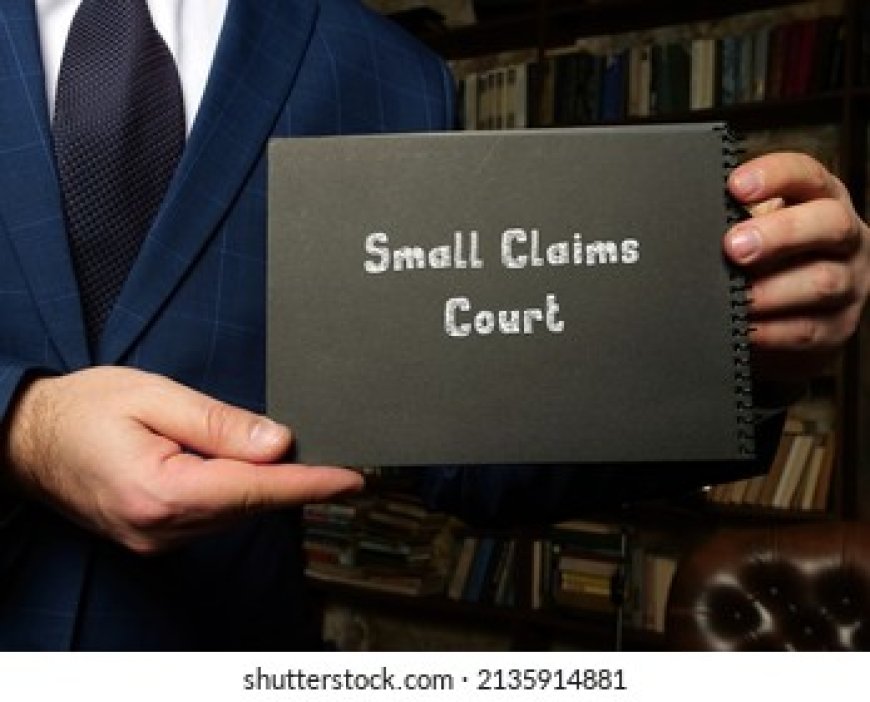 Introduction to Small Claims Judgments