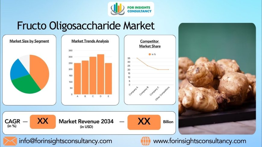 Explore the Lucrative Fructo Oligosaccharide Market Trends