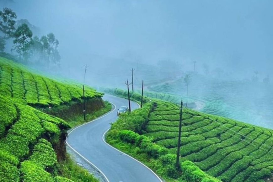 Top Reasons to Book a 3 Days 2 Night Munnar Package This Season