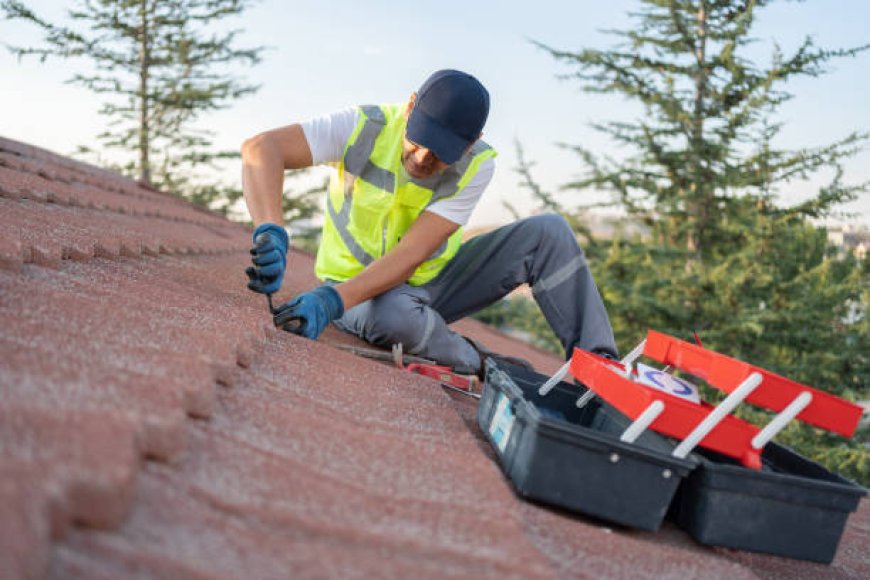 Why Hiring a Bellingham Roofer is the Smart Choice for Your Home