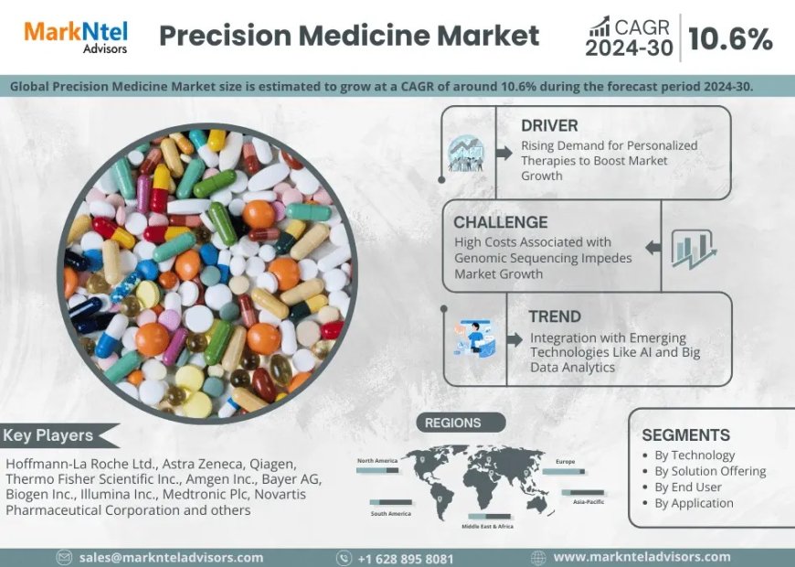 Precision Medicine Market Trends 2024–2030: Outlook, Value & Key Companies