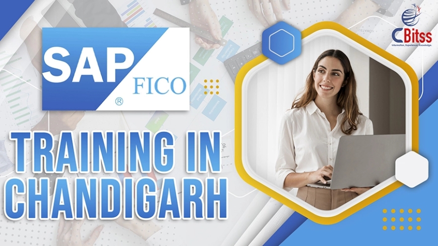 Advance Your Financial Career with Enterprise ERP Expertise