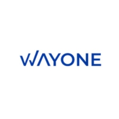 WayoneITSolutions