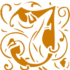 jacquardclothing
